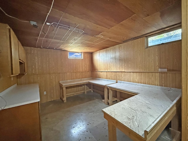 basement with wooden walls and wooden ceiling