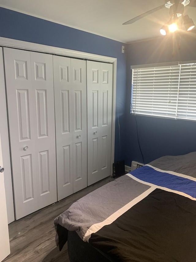 2345 185th Ct Unit 25, Lansing, IL 60438 - bedroom with a closet and wood finished floors