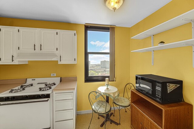2901 S Michigan Ave Unit 1702, Chicago, IL 60616 - kitchen featuring white cabinets, open shelves, white gas stove, baseboards, and under cabinet range hood