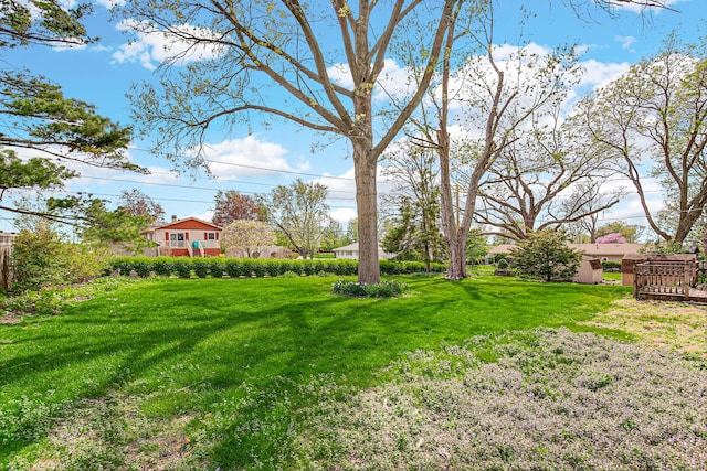 view of yard featuring a wooden deck