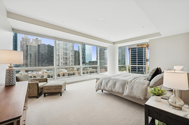 bedroom with a view of city, a tray ceiling, and multiple windows