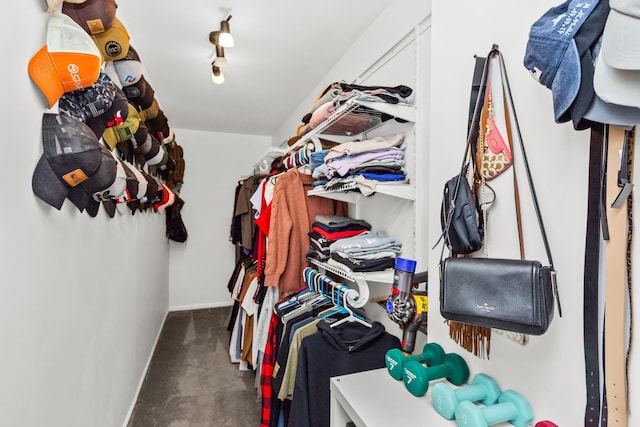 walk in closet with carpet flooring