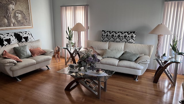 living room with wood finished floors