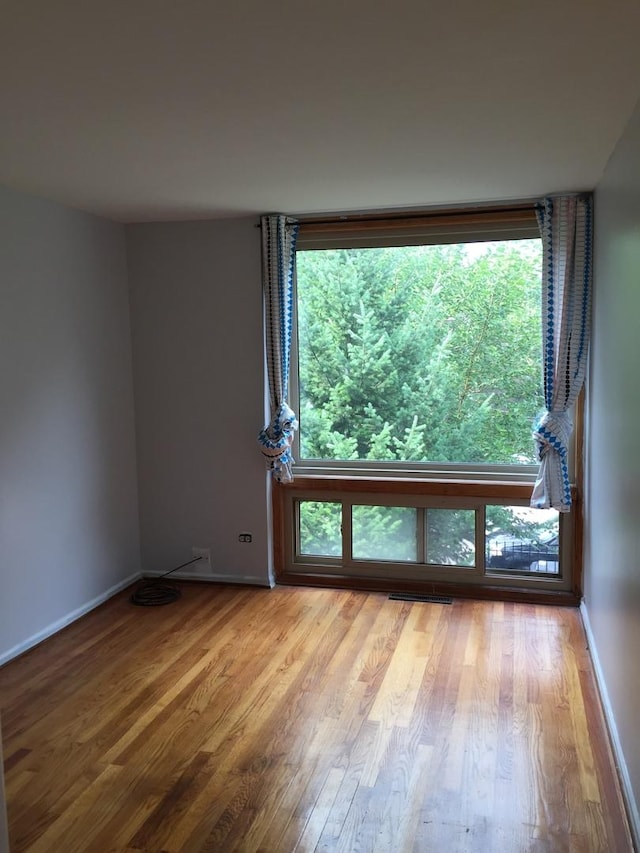 1428 E 55th St, Chicago, IL 60615 - unfurnished room featuring baseboards, a wealth of natural light, and wood finished floors