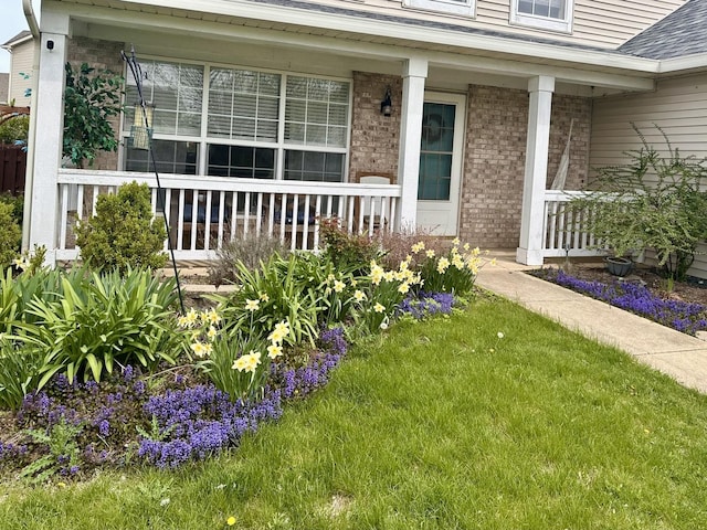 property entrance featuring roof with shingles, covered porch, a lawn, and brick siding