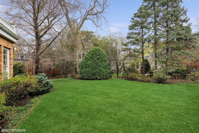 view of yard