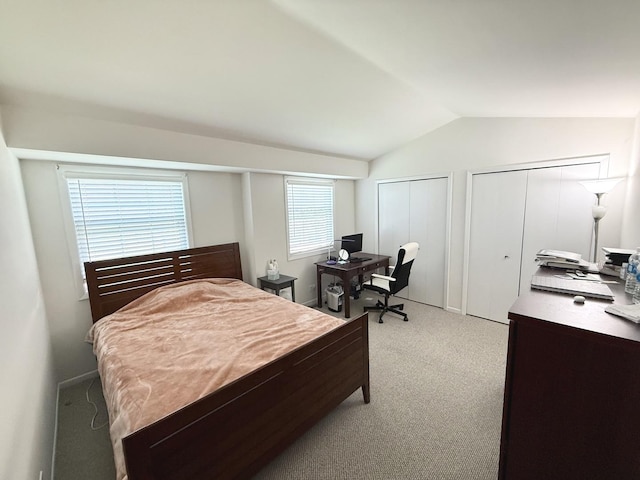 353 S Whispering Hills Dr Unit C, Naperville, IL 60540 - bedroom featuring multiple closets, vaulted ceiling, and light colored carpet