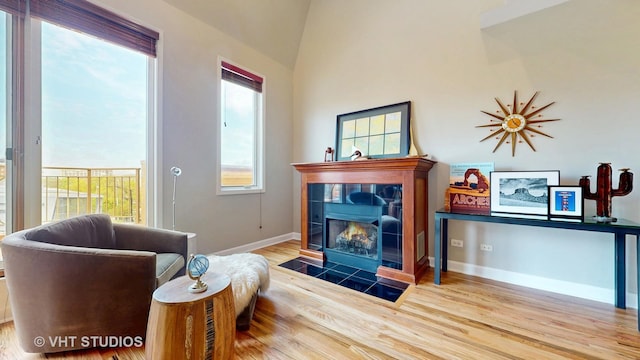 sitting room with wood finished floors, baseboards, and a fireplace