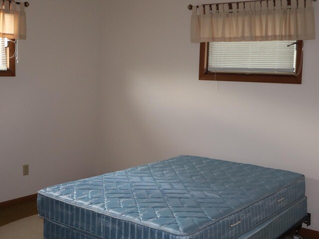 1605 Sharon Rd, Streator, IL 61364 - bedroom with carpet floors and baseboards
