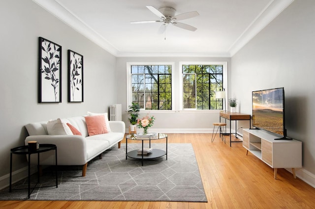 living area featuring crown molding, ceiling fan, wood finished floors, and radiator