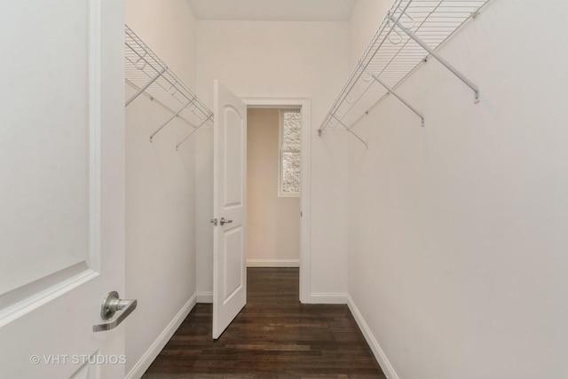 spacious closet with dark wood-type flooring