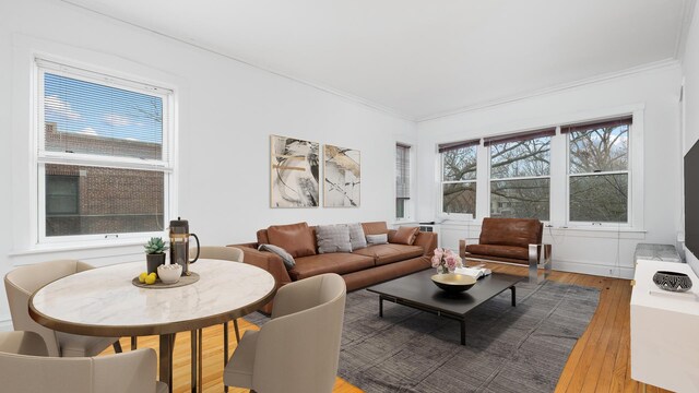 5545 S Kimbark Ave Unit 3, Chicago, IL 60637 - living area with ornamental molding and light wood-style flooring