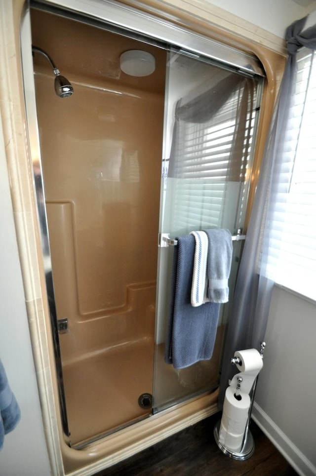 bathroom featuring baseboards, a shower stall, and wood finished floors