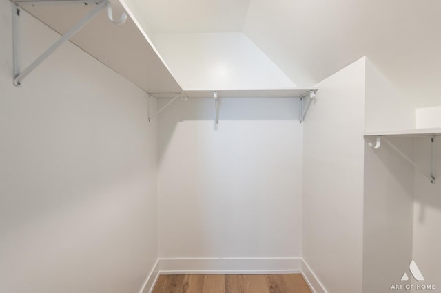 walk in closet with light wood-style flooring