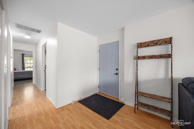 1025 Chaucer Ct E Unit B, Elgin, IL 60120 - foyer with light wood-type flooring and baseboards