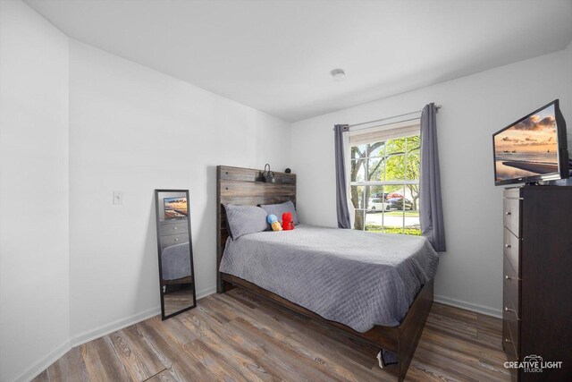 1025 Chaucer Ct E Unit B, Elgin, IL 60120 - bedroom with wood finished floors and baseboards