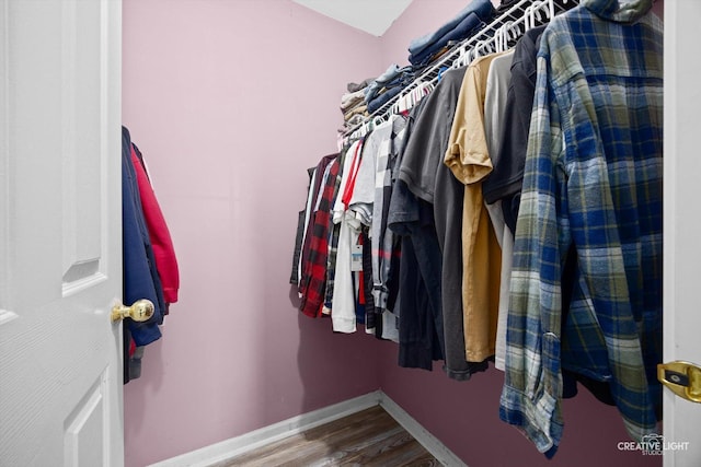 1025 Chaucer Ct E Unit B, Elgin, IL 60120 - walk in closet with wood finished floors