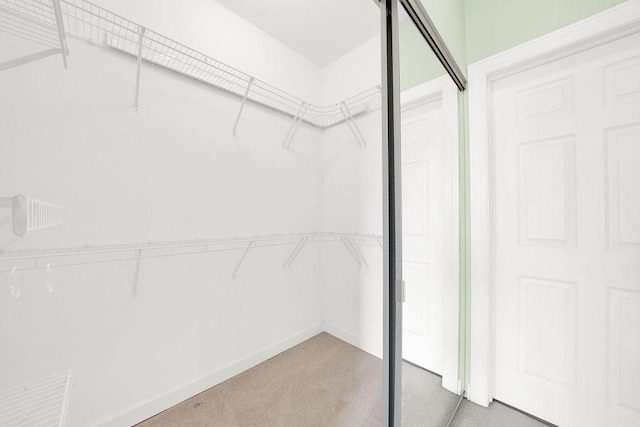 walk in closet featuring carpet floors
