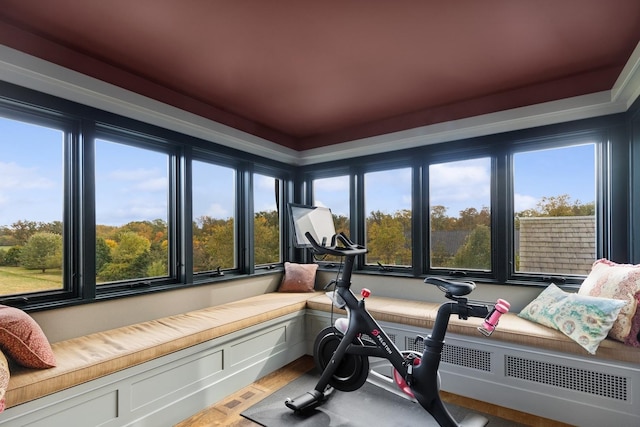 view of workout area