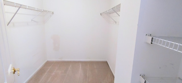 walk in closet with light colored carpet
