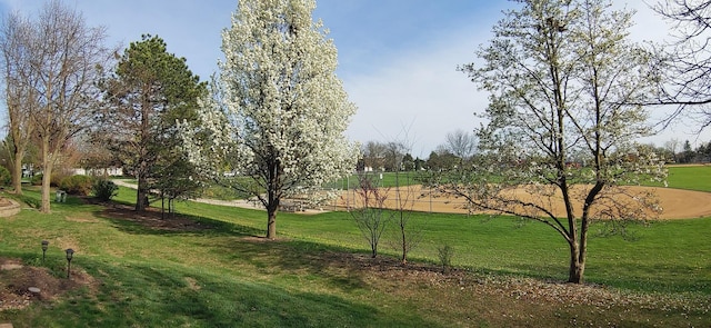 view of property's community with a lawn