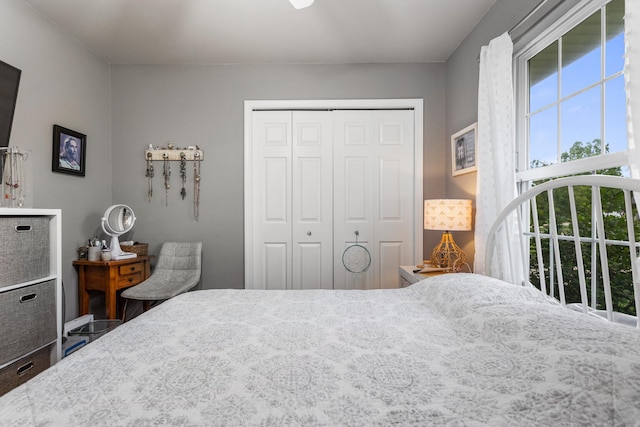 611 Northgate Dr, Saint Joseph, IL 61873 - bedroom with a closet