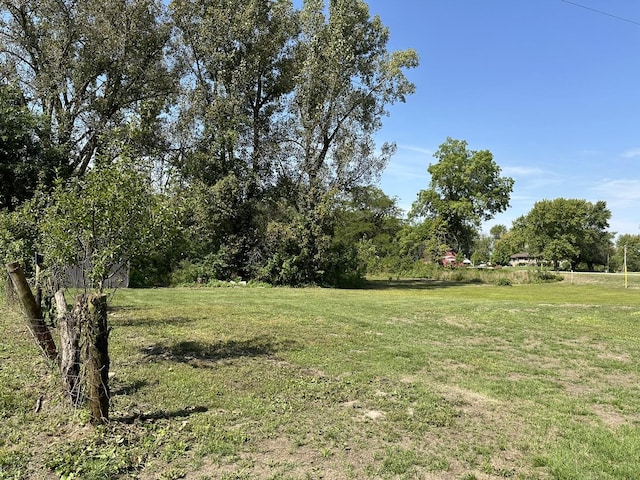 14750 Waller Rd, Fulton, IL 61252 - photo 11