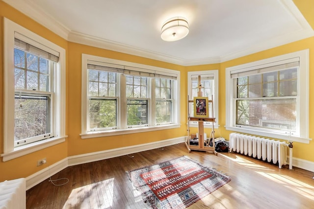 918 Michigan Ave Unit 3, Evanston, IL 60202 - empty room with radiator, wood finished floors, and crown molding