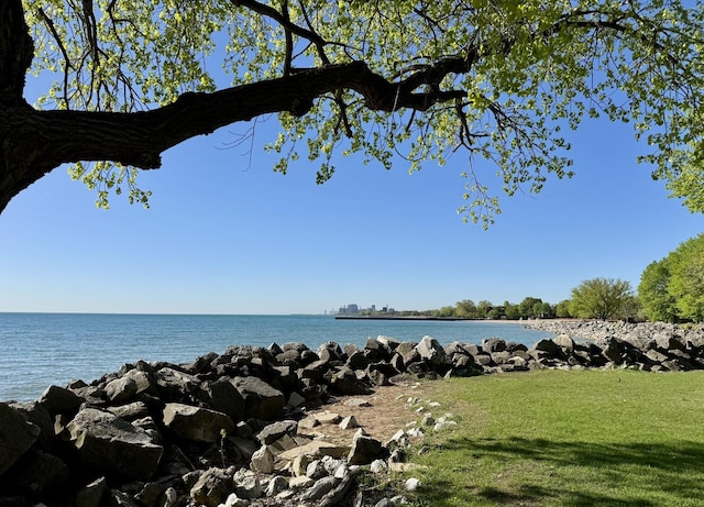 918 Michigan Ave Unit 3, Evanston, IL 60202 - water view
