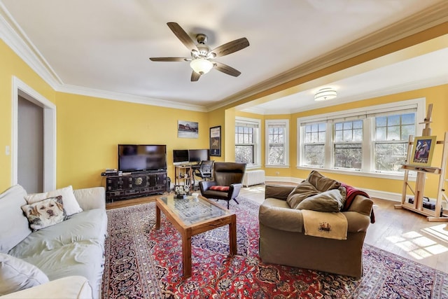 918 Michigan Ave Unit 3, Evanston, IL 60202 - living area with radiator, crown molding, ceiling fan, and wood finished floors