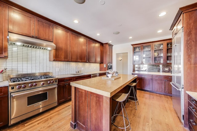 918 Michigan Ave Unit 3, Evanston, IL 60202 - kitchen featuring high end appliances, under cabinet range hood, light countertops, decorative backsplash, and light wood-type flooring