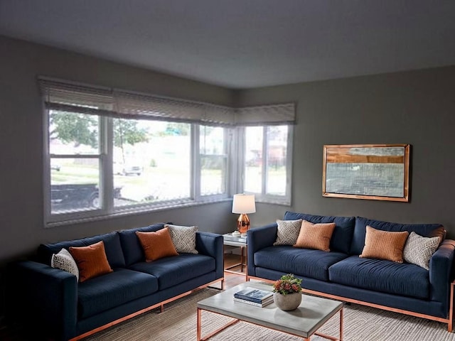 9105 S Parnell Ave, Chicago, IL 60620 - view of living room