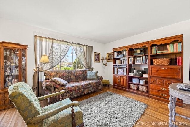 living area featuring wood finished floors