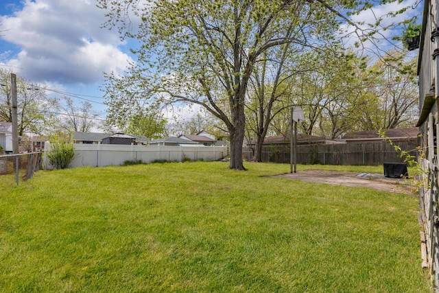 view of yard featuring a fenced backyard and a patio