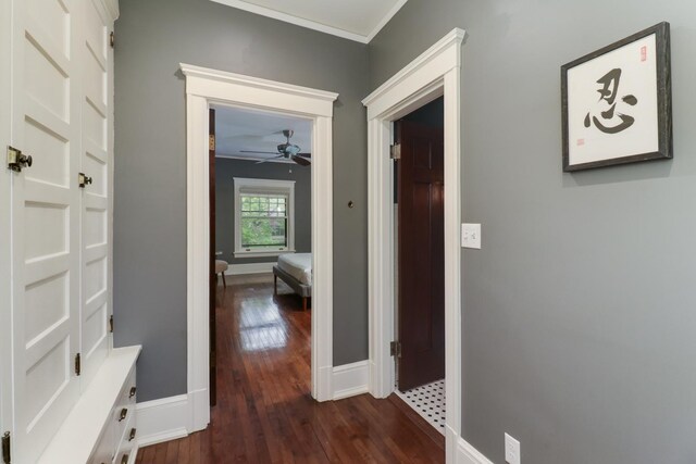 1314 E Washington St, Bloomington, IL 61701 - corridor featuring crown molding, baseboards, and dark wood-type flooring