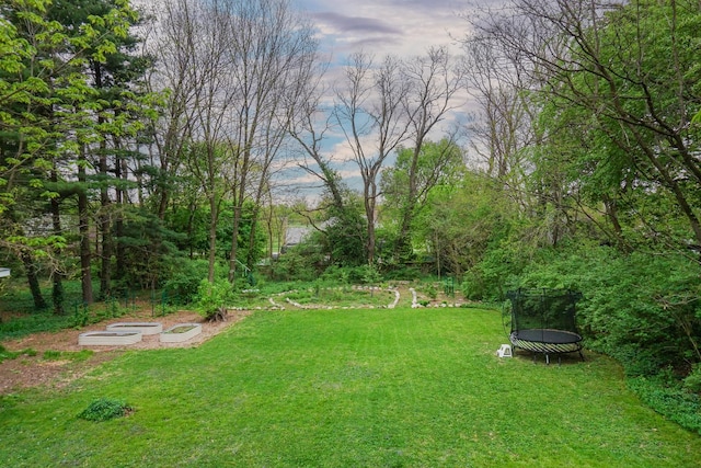 1314 E Washington St, Bloomington, IL 61701 - view of yard featuring a trampoline