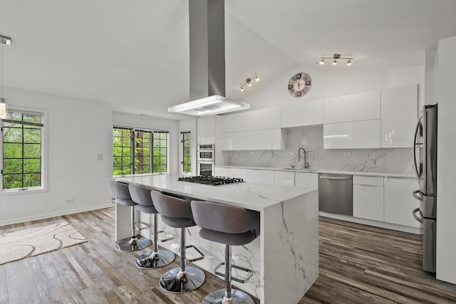 1105 Foxtail Ct Unit 1105, Darien, IL 60561 - kitchen featuring appliances with stainless steel finishes, modern cabinets, and vaulted ceiling