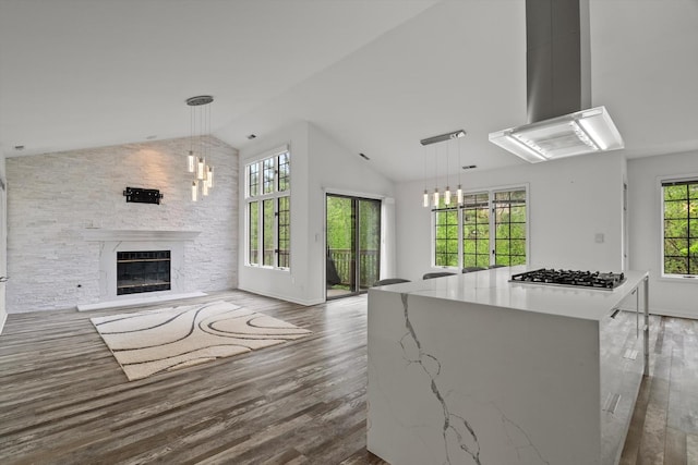 1105 Foxtail Ct Unit 1105, Darien, IL 60561 - interior space featuring a notable chandelier, vaulted ceiling, a stone fireplace, and wood finished floors