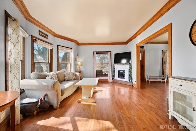 living area with a glass covered fireplace, baseboards, ornamental molding, and hardwood / wood-style floors
