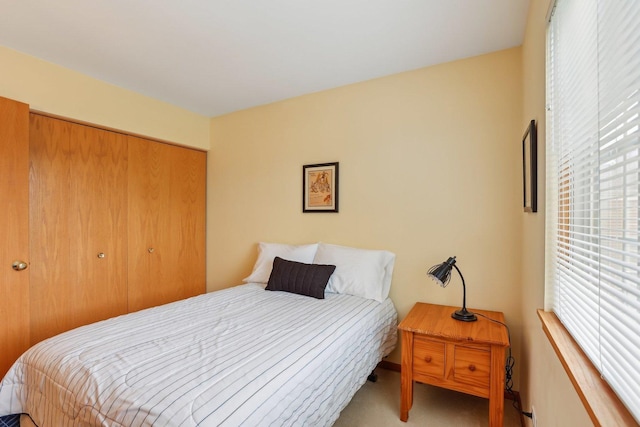 1011 Blackburn Dr, Grayslake, IL 60030 - carpeted bedroom featuring multiple windows and a closet