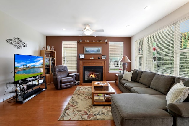 12951 Bull Ridge Dr, Huntley, IL 60142 - living room featuring a healthy amount of sunlight, ceiling fan, a glass covered fireplace, and wood finished floors