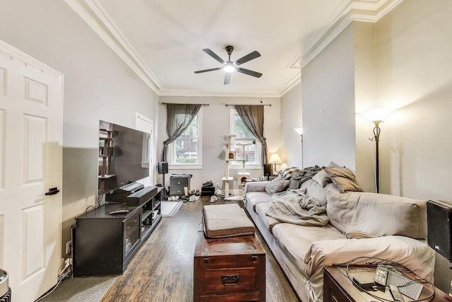 2437 W Taylor St, Chicago, IL 60612 - living area with ornamental molding, ceiling fan, and wood finished floors