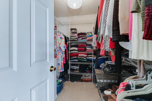spacious closet featuring carpet floors