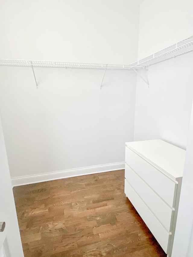 walk in closet with light wood-style floors