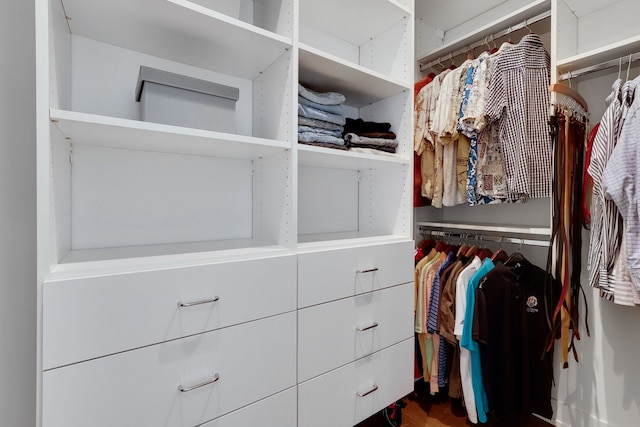 view of spacious closet