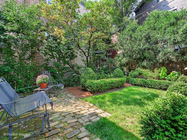 1222 W Lill Ave, Chicago, IL 60614 - photo 22