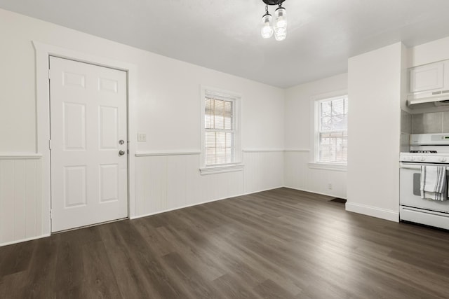 interior space featuring dark wood finished floors, a wealth of natural light, and a wainscoted wall