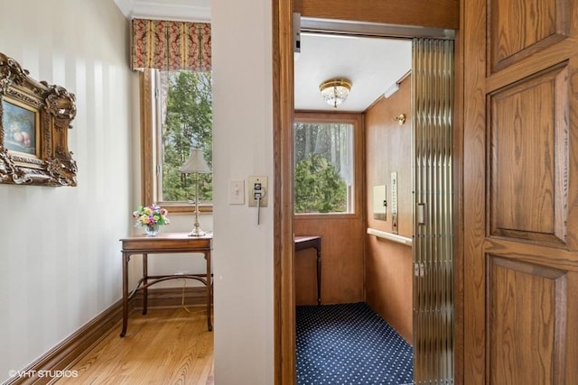 entryway featuring light wood finished floors, a notable chandelier, and a healthy amount of sunlight