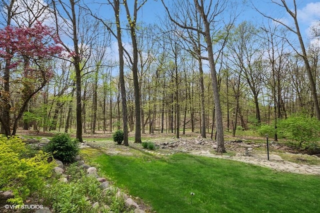 view of yard with a wooded view