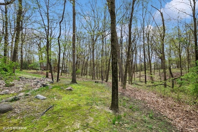 view of yard with a forest view